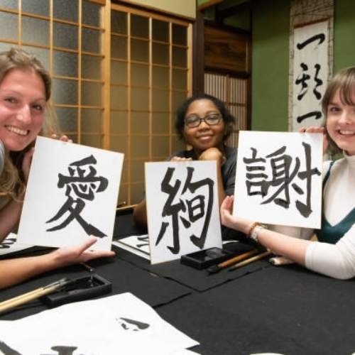 Japanese Language Institutes